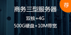 商务三型服务器,双核+4G,500G硬盘+10M带宽 推荐